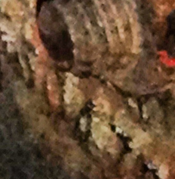 108