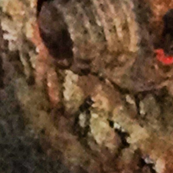 2013-10-24_1382638028-6